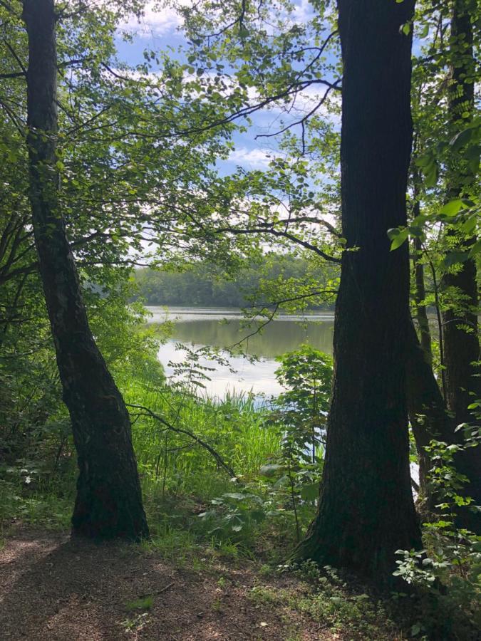 Noclegi Gdansk Pokoje Goscinne 外观 照片